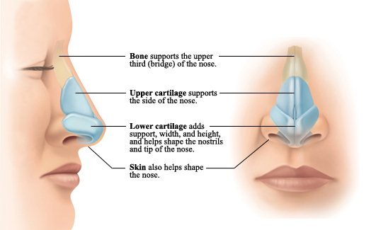 Perfect Nose Clip - Για βελτίωση του σχήματος της μύτης Perfect Nose Clip - Για βελτίωση του σχήματος της μύτης